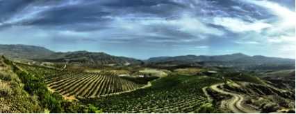 Ruta de vinos por Granada